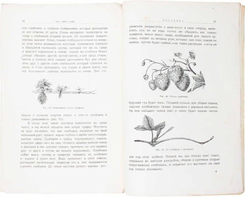 Ельманов Н., Ельманова Е. У нас свой садик. Рассказы для младшего возраста. С 48 рис. / Обл. худож. Оскара Клевера. М.: Изд. Комиссии по улучшению жизни детей при В.Ц.И.К. и кооперативного изд-ва «Жизнь и знание», 1924.